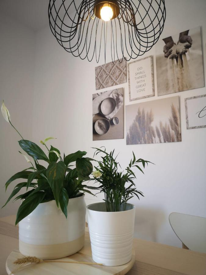 Apartamento Suite Arco De La Villa,Solo Familia Y Parejas,Parking Gratuito Conil De La Frontera Ngoại thất bức ảnh
